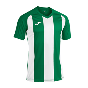 Maglia calcio Joma PISA II 102243 - Verde - Bianco
