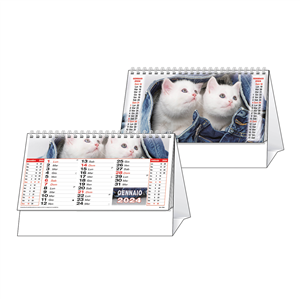 Calendario da tavolo 12 fogli C6651 - Bianco