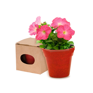 Vaso biodegradabile con semi di petunia assortiti ADVERT MKT9966 - Rosso