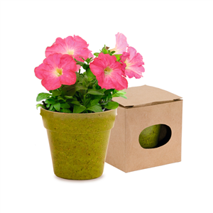 Vaso biodegradabile con semi di petunia assortiti ADVERT MKT9966 - Verde
