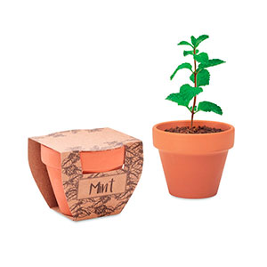 Piccolo vaso di terracotta con semi di menta MINT POT. Prodotto in EU  MO2218 - Legno