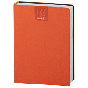 Agenda personalizzata giornaliera 324 pagine con copertina in termovirante cm 17x24 S/D abbinati PPB320 - Arancio