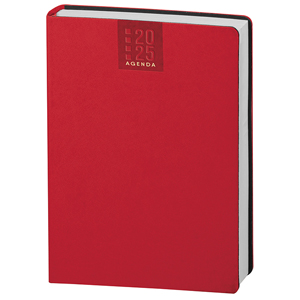 Agenda personalizzata giornaliera 324 pagine con copertina in termovirante cm 17x24 S/D abbinati PPB320 - Rosso