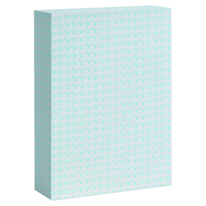 Astuccio cm 12x17 per agenda pb391, pb520 PPB521 - Bianco