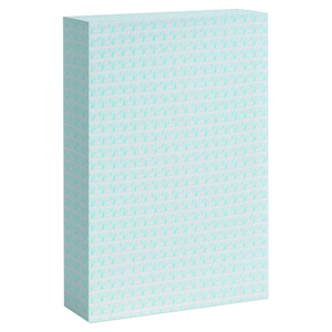 Astuccio cm 9x15 per pb544 PPB545 - Bianco