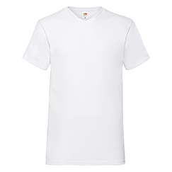 VALUEWEIGHT V-NECK T