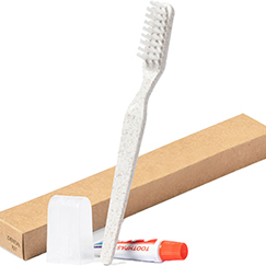 DENTAL KIT