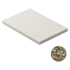 Quaderno ecologico personalizzato A5 con copertina a spirale piantabile con semi SEED BOOK