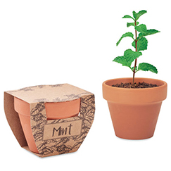 MINT POT