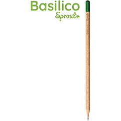 BASILICO