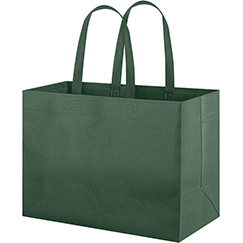 ECOBAG