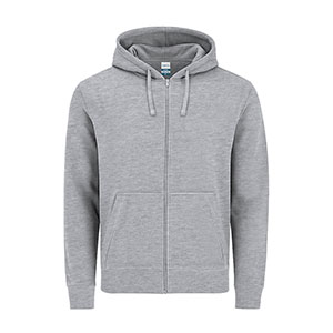 Felpa con cappuccio e zip ASTRO - Grigio