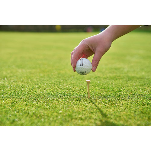 Set da golf in legno NYSSA - dettaglio