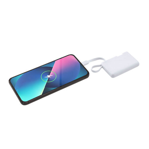 Power bank compatto BRANDIN - dettaglio