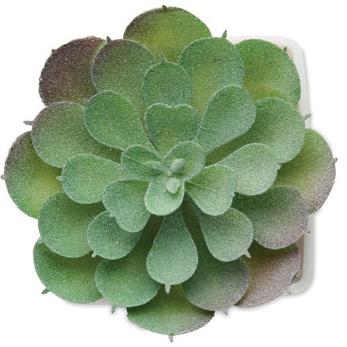Mini pianta artificiale ARTIECHE - dettaglio
