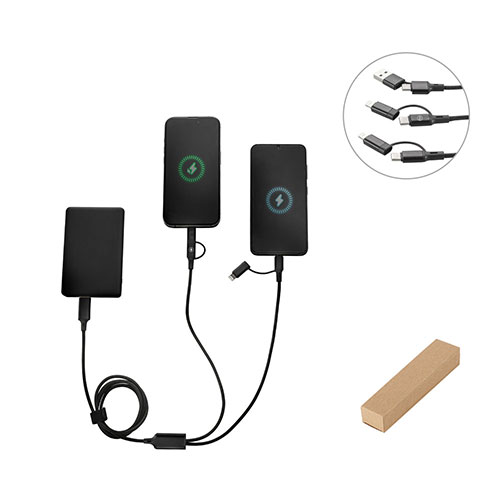 BERTOZZI - cavo USB super veloce 6 in 1 - dettaglio